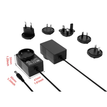 12V2A interchangeable 5 plugs adapter black1 size